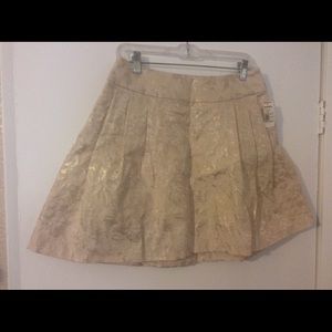 Jennifer Lopez Skirt